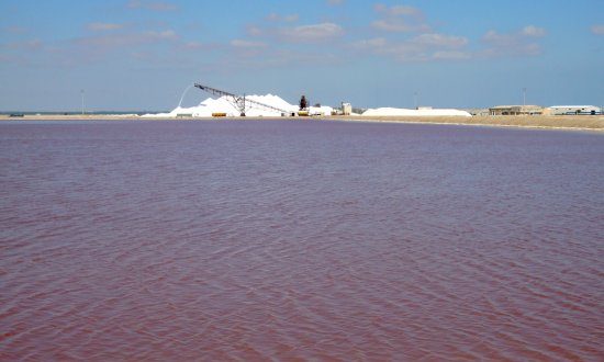 gallery-image